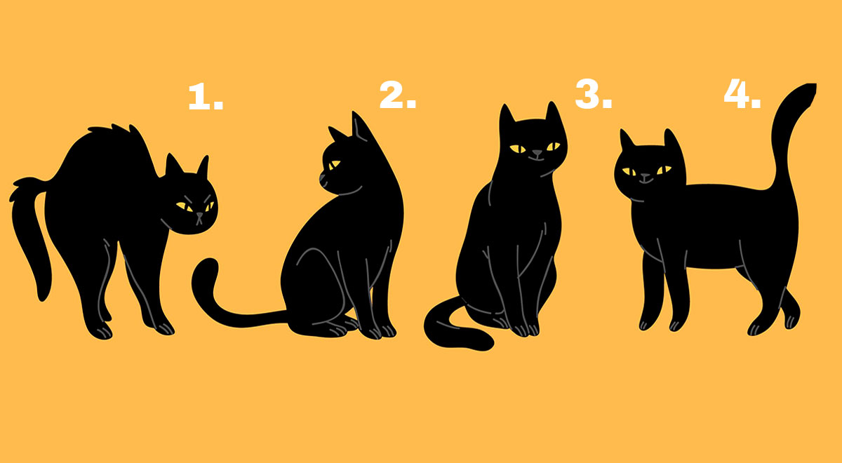 ¿Qué gato negro eres tú? Elige uno y este test revelará si eres atento o distraído