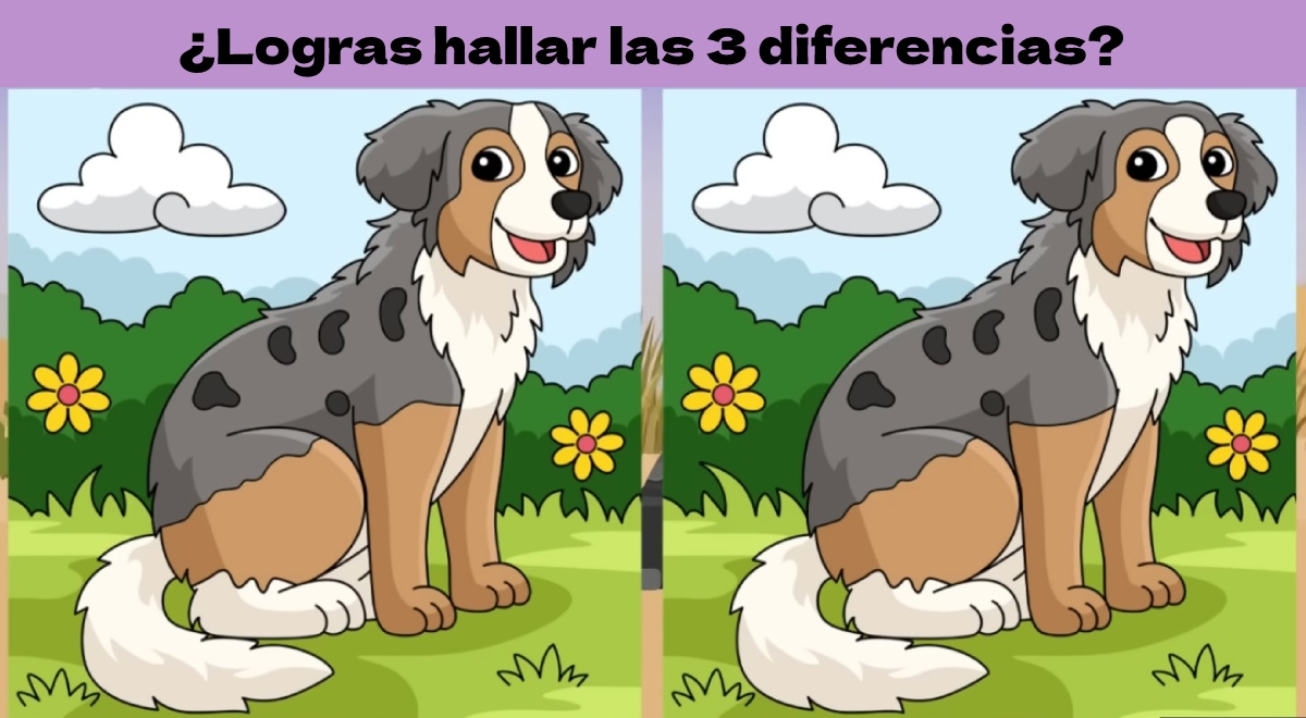 Reto visual solo para mentes BRILLANTES: encuentra las 3 diferencias entre los perritos