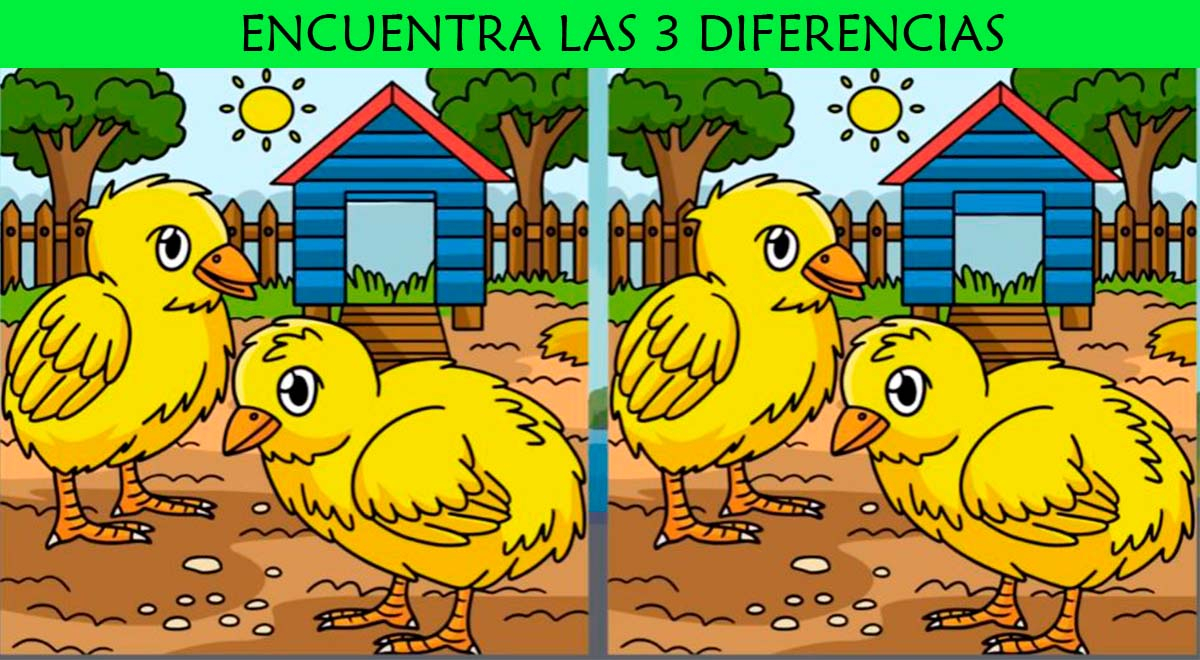 ¿Podrás hallar las 3 diferencias en los pollitos? Intenta superar este reto en 7 segundos