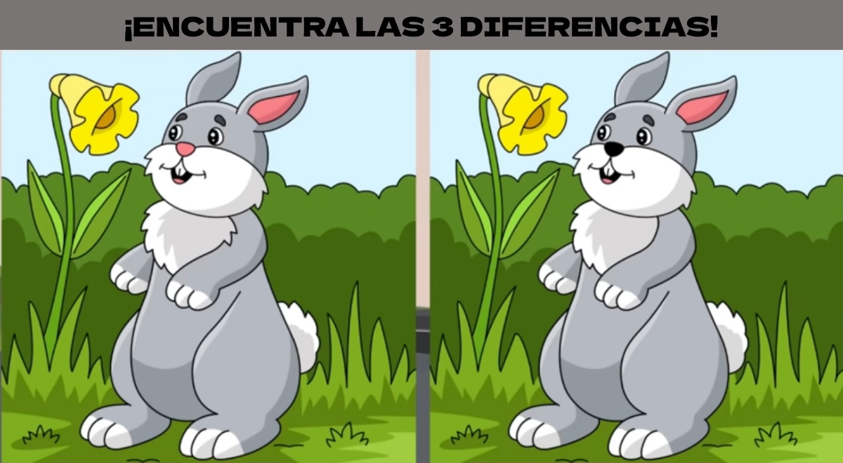 ¿podrás Hallar Las 3 Diferencias Entre Los Conejitos Tienes 6 Segundos Para Resolver El Reto 