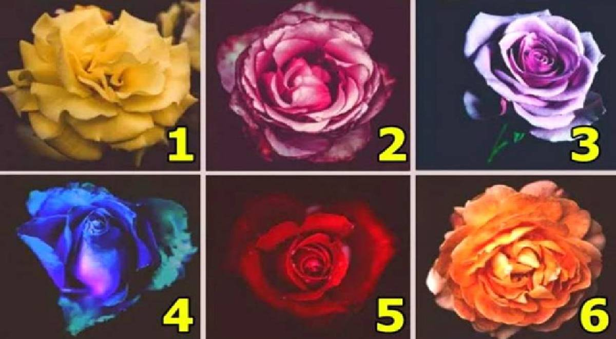 ¿Cuál es tu más grande miedo al enamorarte? Descubre la verdad con tu elección en este test