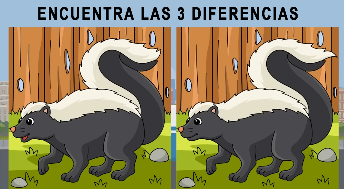 Desafía tu agilidad visual con este nuevo reto: ¿Logras ver las 3 diferencias?