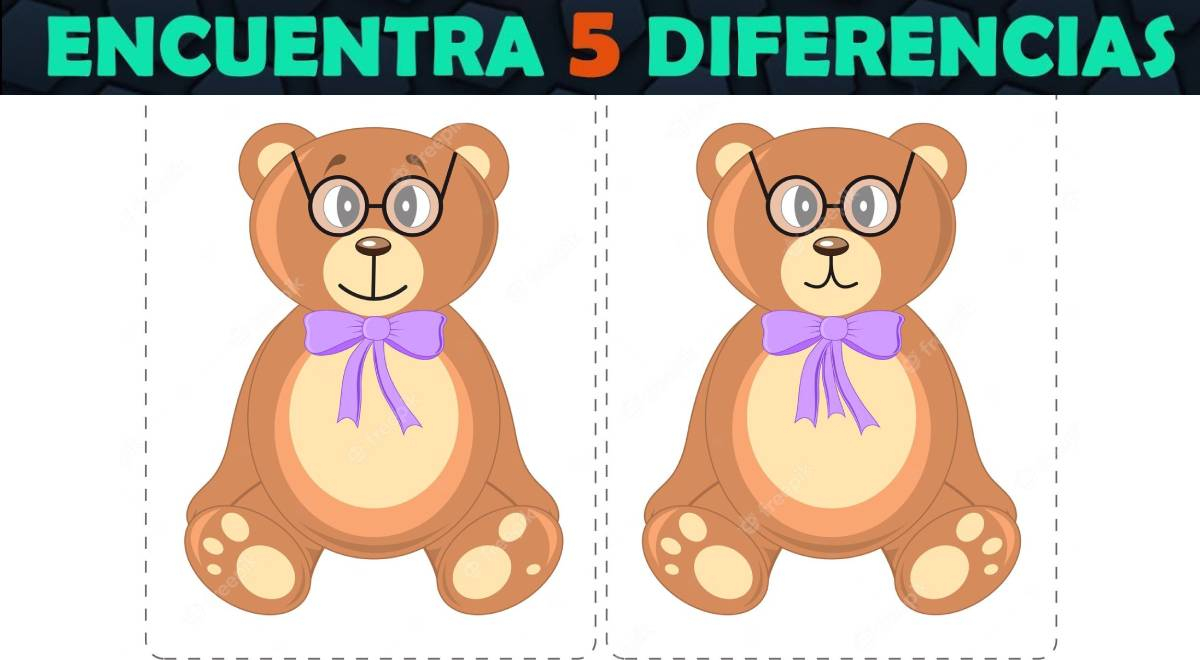 Identifica qué hay de distinto entre los osos: Tienes 5 segundos para superar este reto