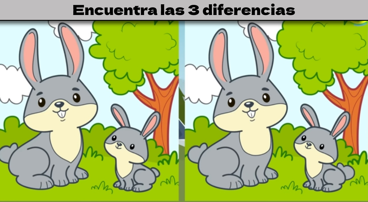Resuelve el reto para mentes BRILLANTES: encuentra las 3 diferencias entre los conejitos
