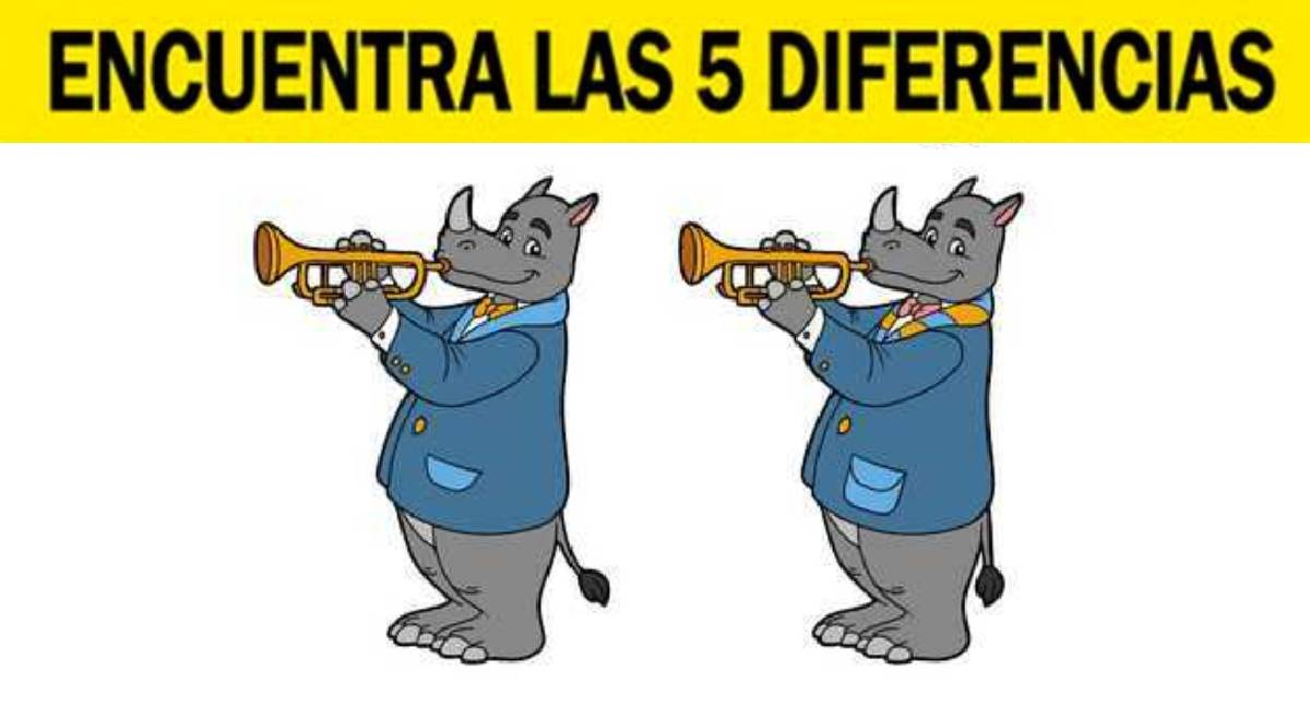 Tienes 6 segundos para triunfar: Encuentra los 5 detalles distintos en los rinocerontes