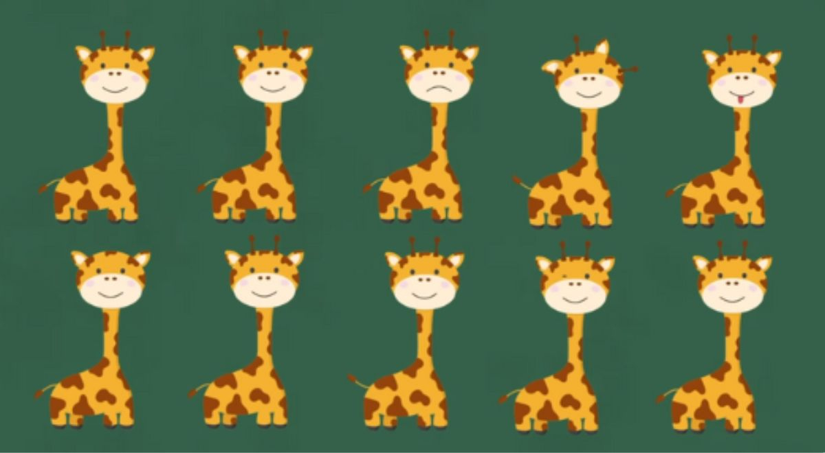 Encuentra dos jirafas idénticas en este reto visual: solo un GENIO logra descubrirlo