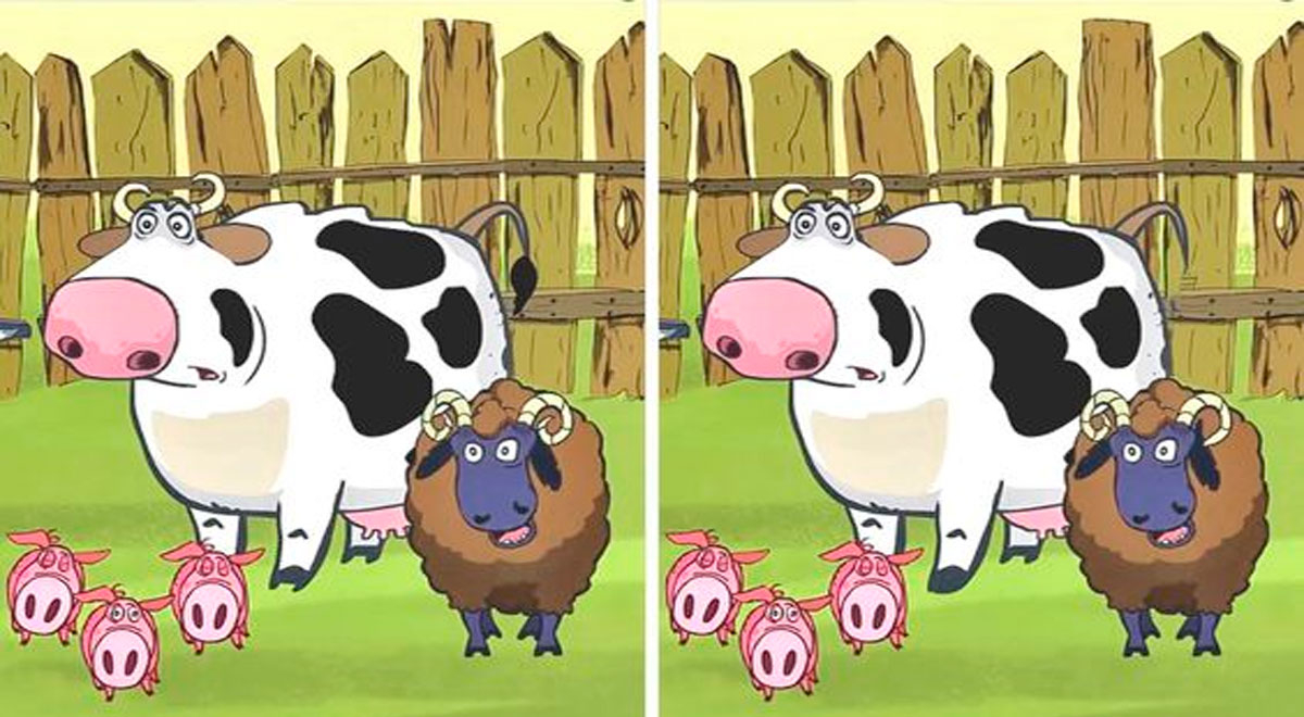 Encuentra en solo 10 segundos las 5 diferencias de la vaca, los cerditos y la oveja