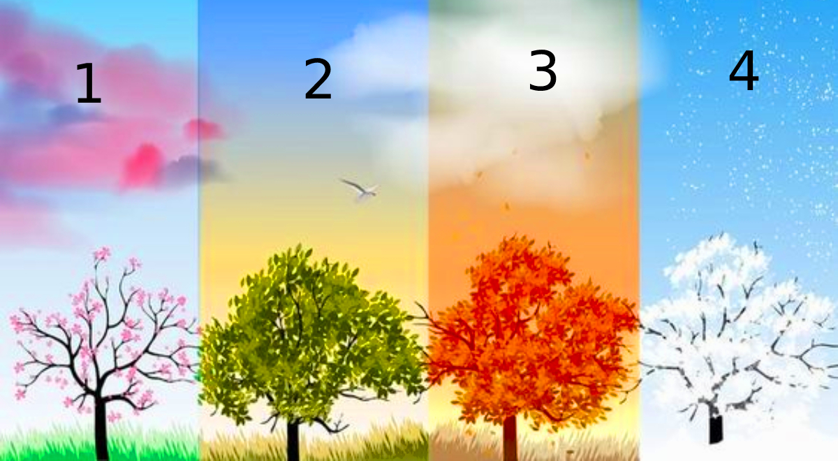 Elige el árbol que te gusta más: este test te revelará cómo es tu forma de ver la vida