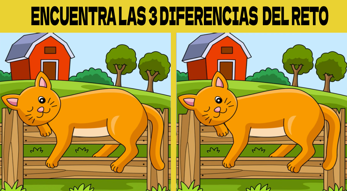 Si tienes BUENA MEMORIA ubicarás las 3 diferencias que hay entre los gatitos del reto