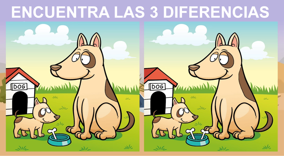 Identifica las 3 diferencias en menos de 6 segundos y conviértete en un GENIO