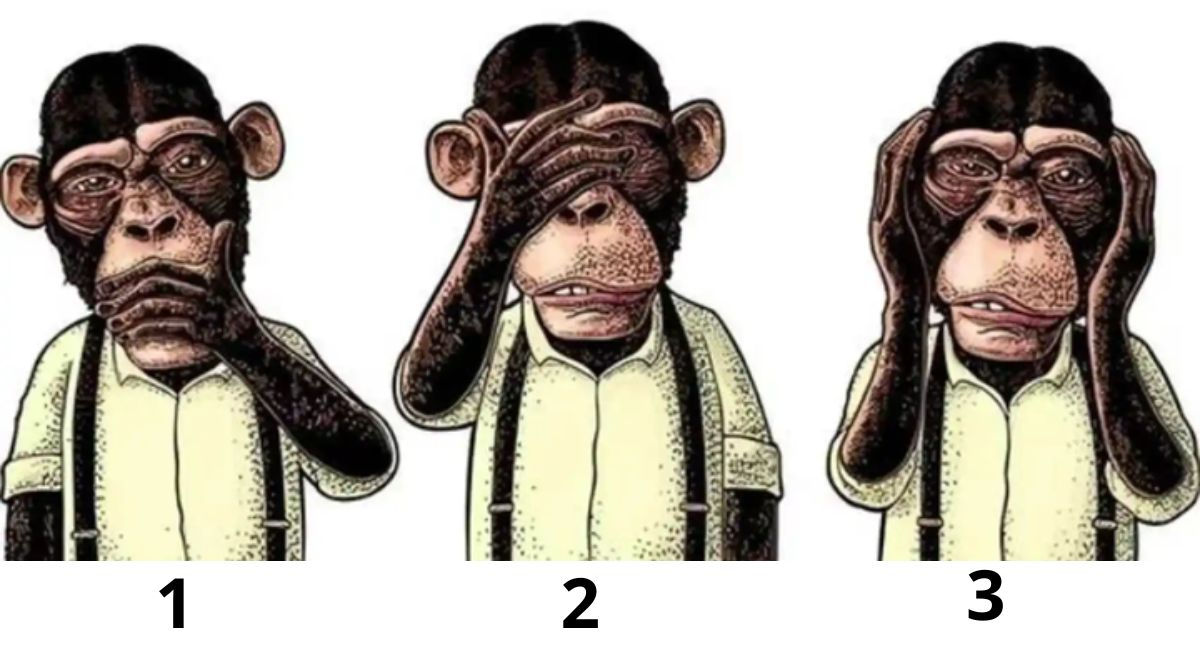 ¿Cuál mono te gusta más? La respuesta revelará si eres una persona amigable e intligente