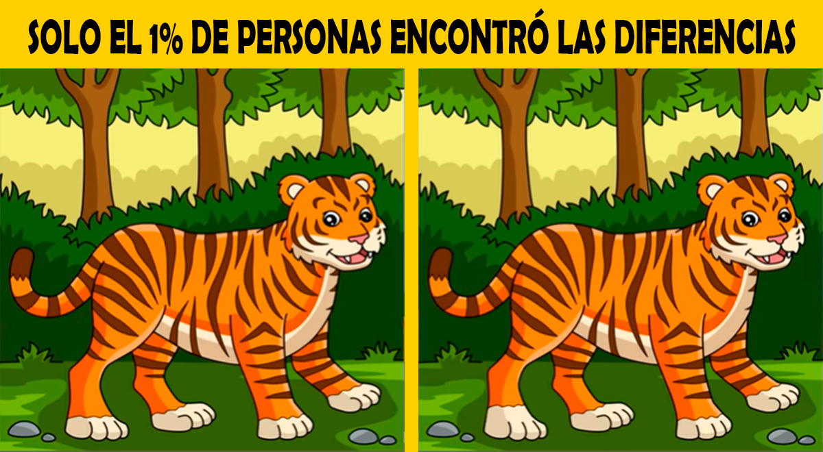Reto para personas que tienen BUENA MEMORIA: ¿Ubicarás las 3 diferencias entre los tigres?
