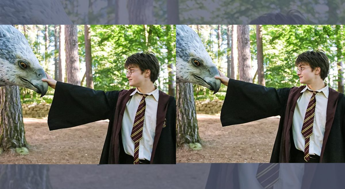 Resuelve este reto DIFÍCIL para GENIOS: halla las 3 diferencias en Harry Potter