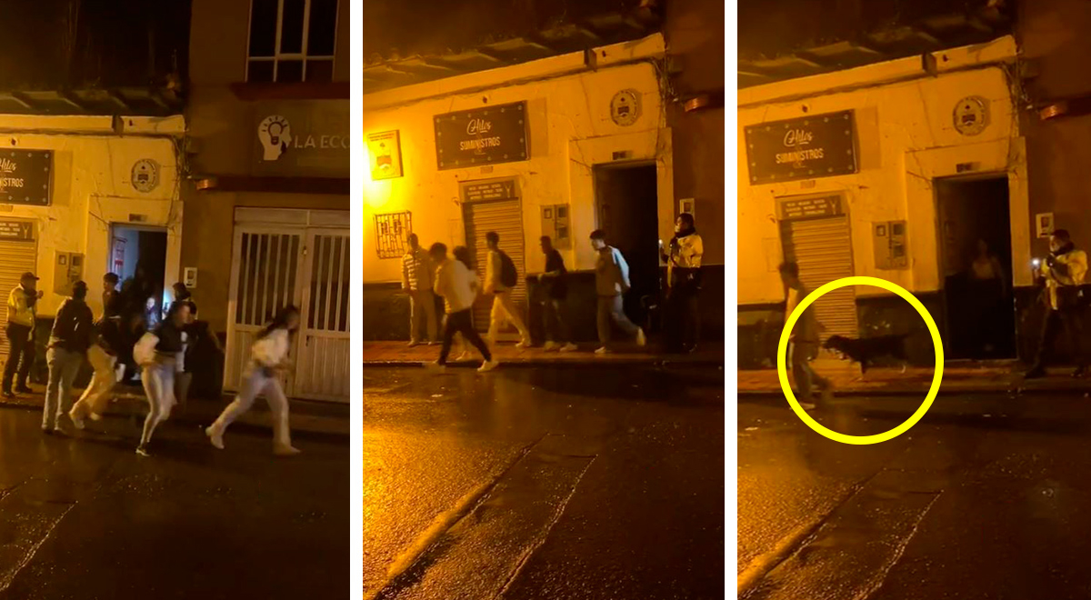 Policía interviene fiesta clandestina y descubren que había un perro: 