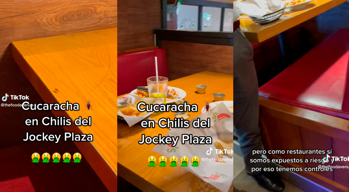 Cucaracha camina en la mesa de comida de conocido restaurante: 