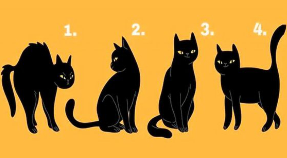 ¿Te quieren hacer daño? Elige un gato negro del test de personalidad y descúbrelo