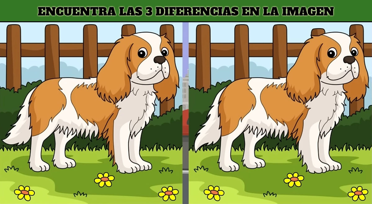 Logras Ver Las 3 Diferencias Entre Los Perritos Firulais Si Eres