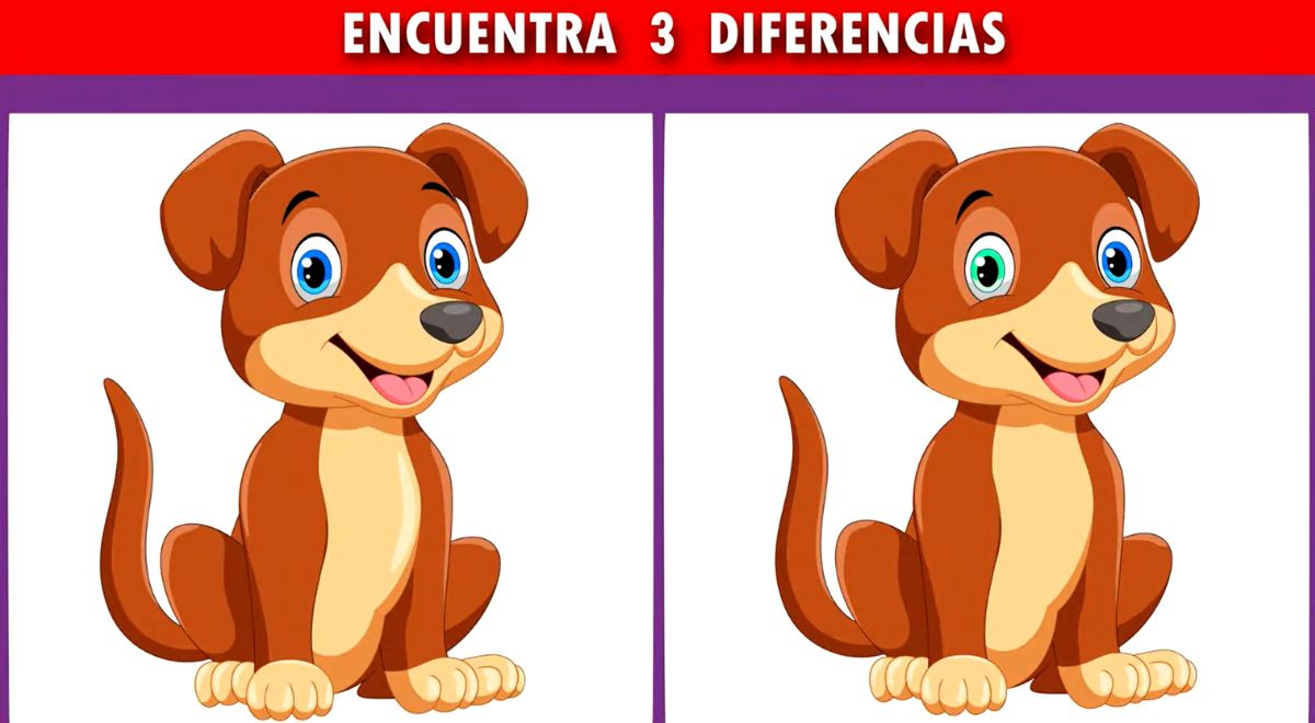 Encuentra las 3 diferencias en los perritos y conviértete en un GENIO de retos EXTREMOS