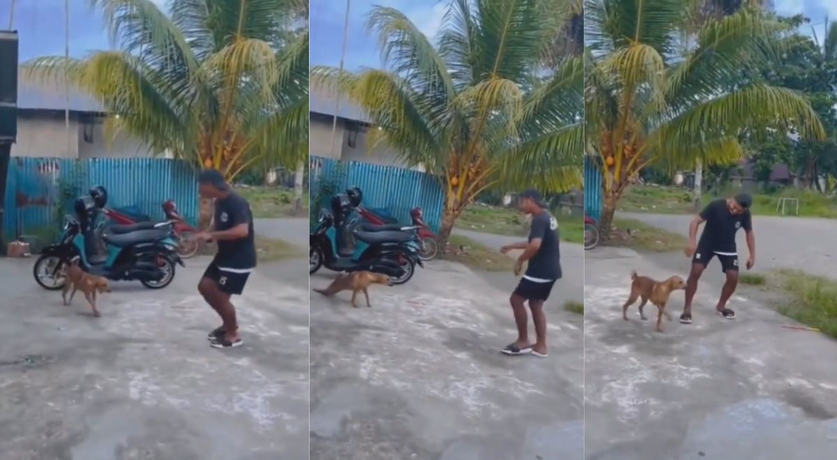 Perrito sorprende y realiza divertidos pasos para bailar junto a su dueño