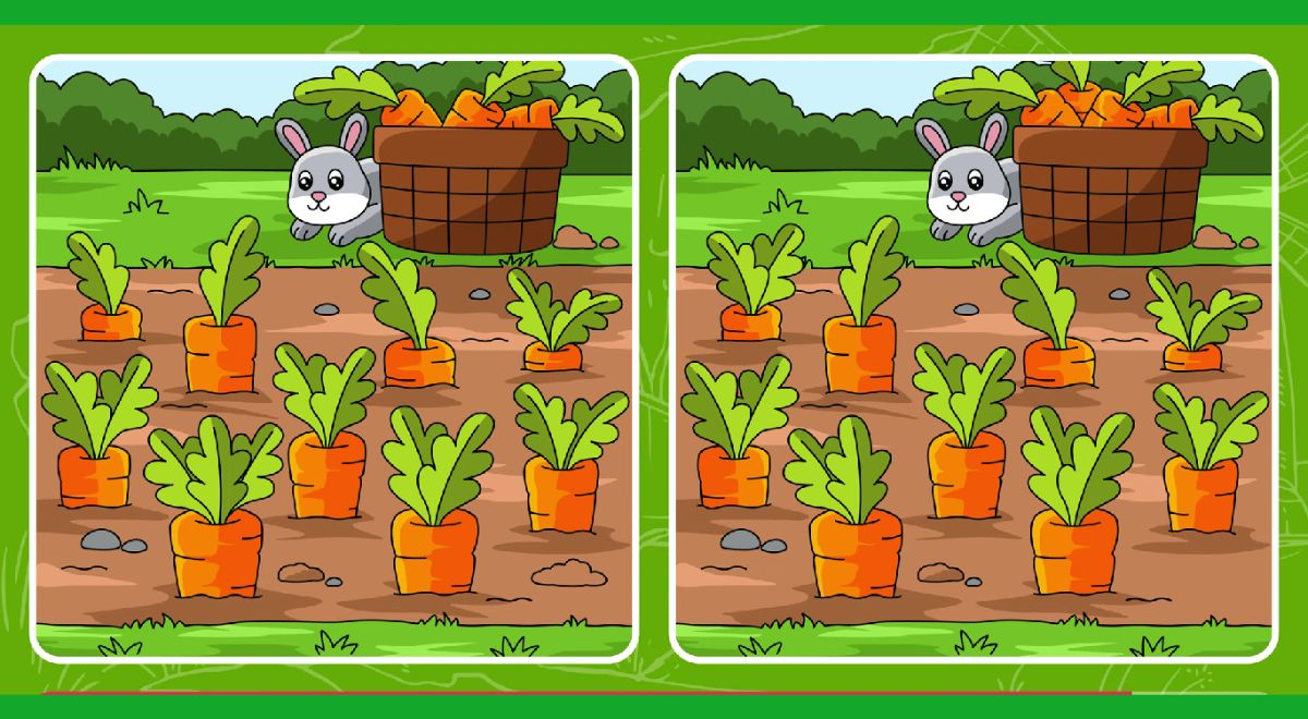¿Encontrarás las 5 diferencias entre las zanahorias y el conejo? Solo el 2% obtuvo la victoria