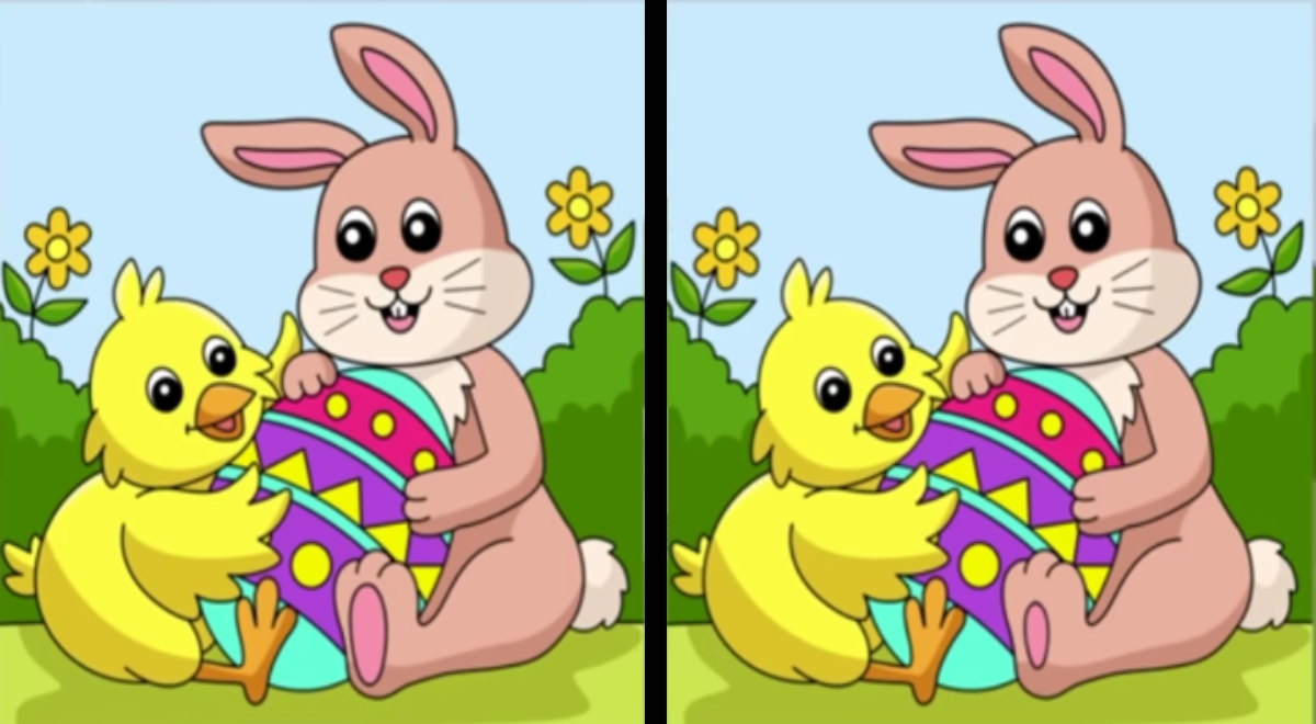 ¿Puedes ver las 3 diferencias? Si eres un 'CRACK' superarás el reto en menos de 5 segundos