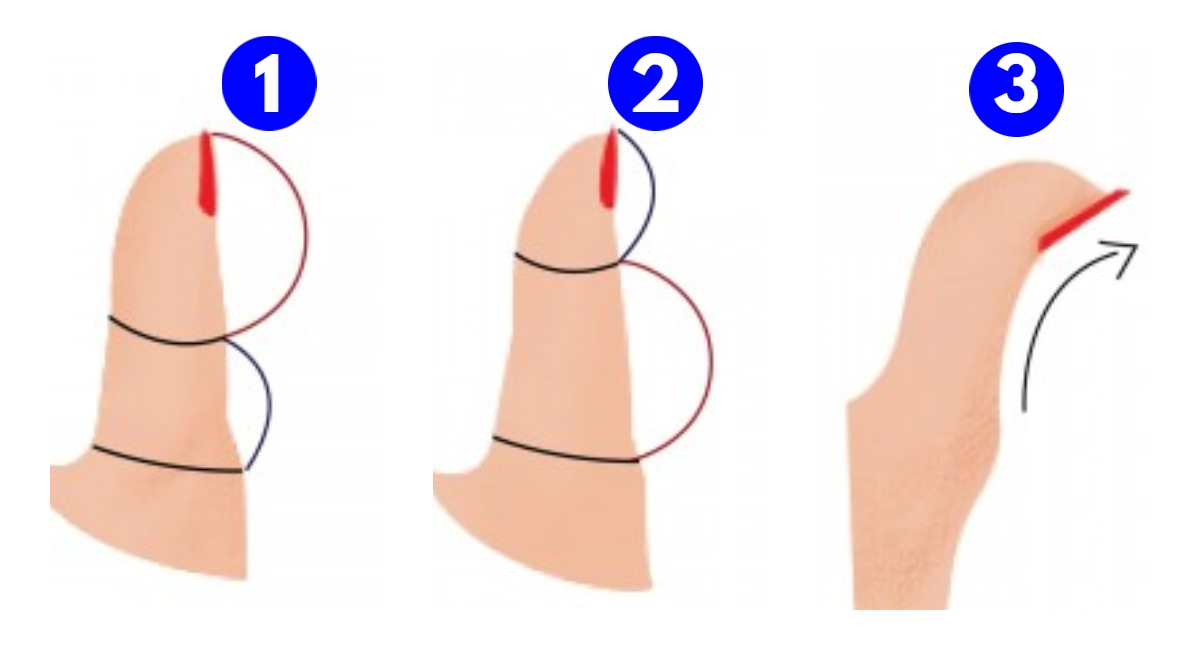 ¿Cuál es la forma de tu pulgar? Este test de personalidad mostrará tu lado más SENSIBLE