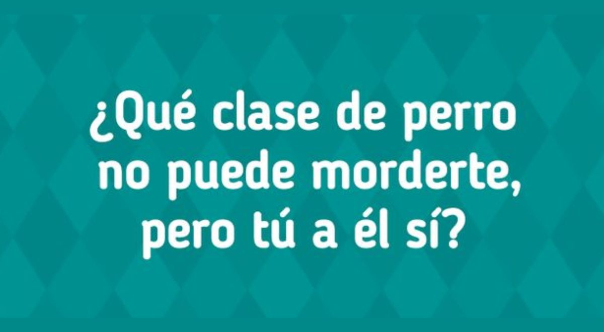 ¿Qué clase de perro se está refiriendo? Solo el 2% logró descubrirlo