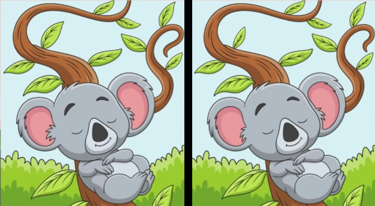 Si eres un GENIO superarás este reto EXTREMO: ¿Ves las 3 diferencias entre los koalas?