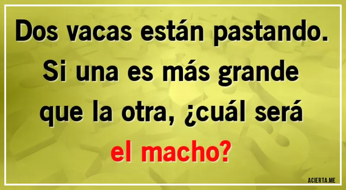 Solo las MENTES HÁBILES dan la respuesta correcta del acertijo: ¿Cuál será macho?