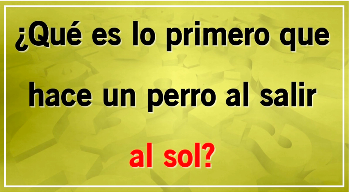 Solo una MENTE BRILLANTE podrá responder este complejo acertijo: ¿Qué haría el perro?