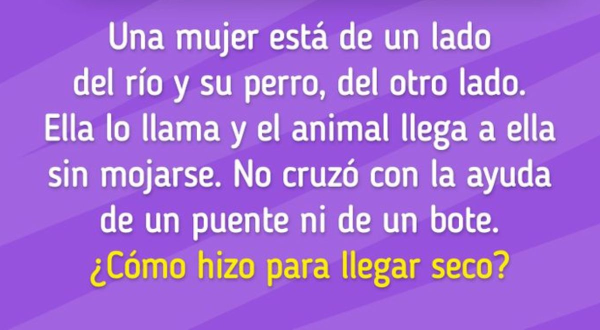 ¿Cómo el perro cruzó sin mojarse? Solo el 1% resolvió este acertijo EXTREMO