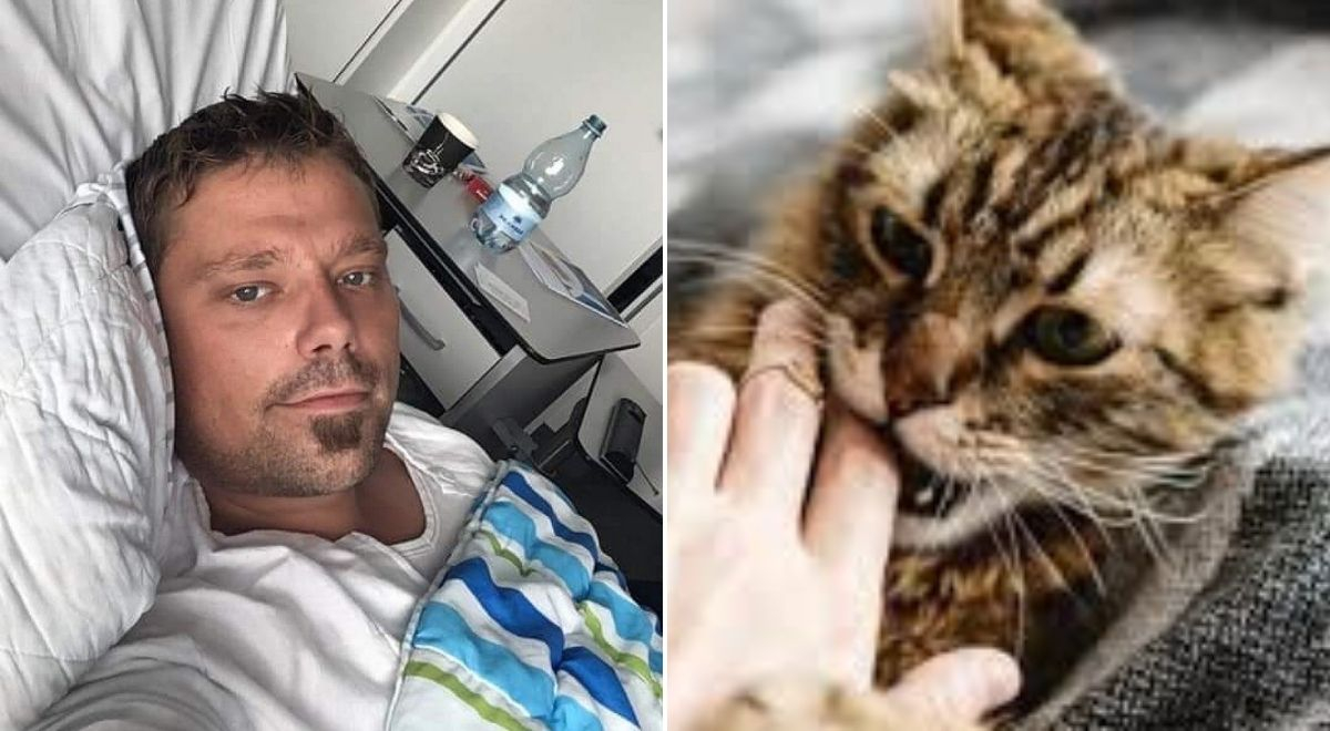 Caso Henrik: ¿cómo la mordedura de un gato le quitó la vida después de 4 años?
