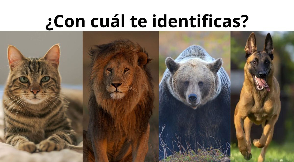 ¿Qué piensan los demás sobre ti? Elige uno de los animales de este test y sorpréndete