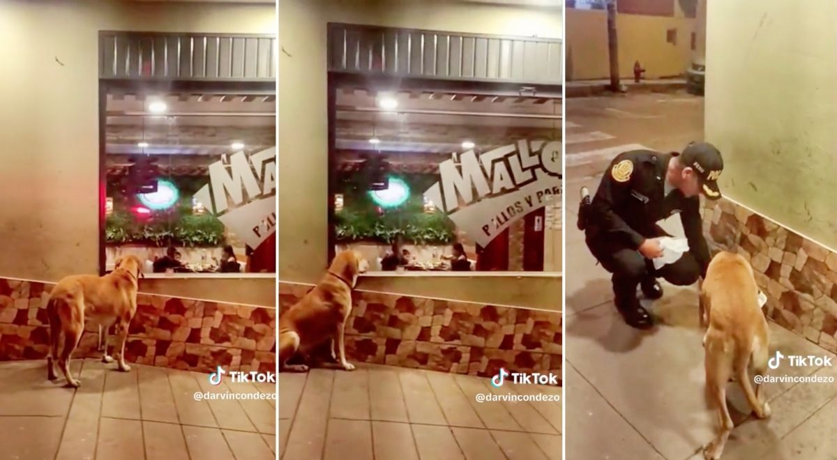 Perrito es captado mirando una pollería y policía se compadece y le compra su cuarto de pollo