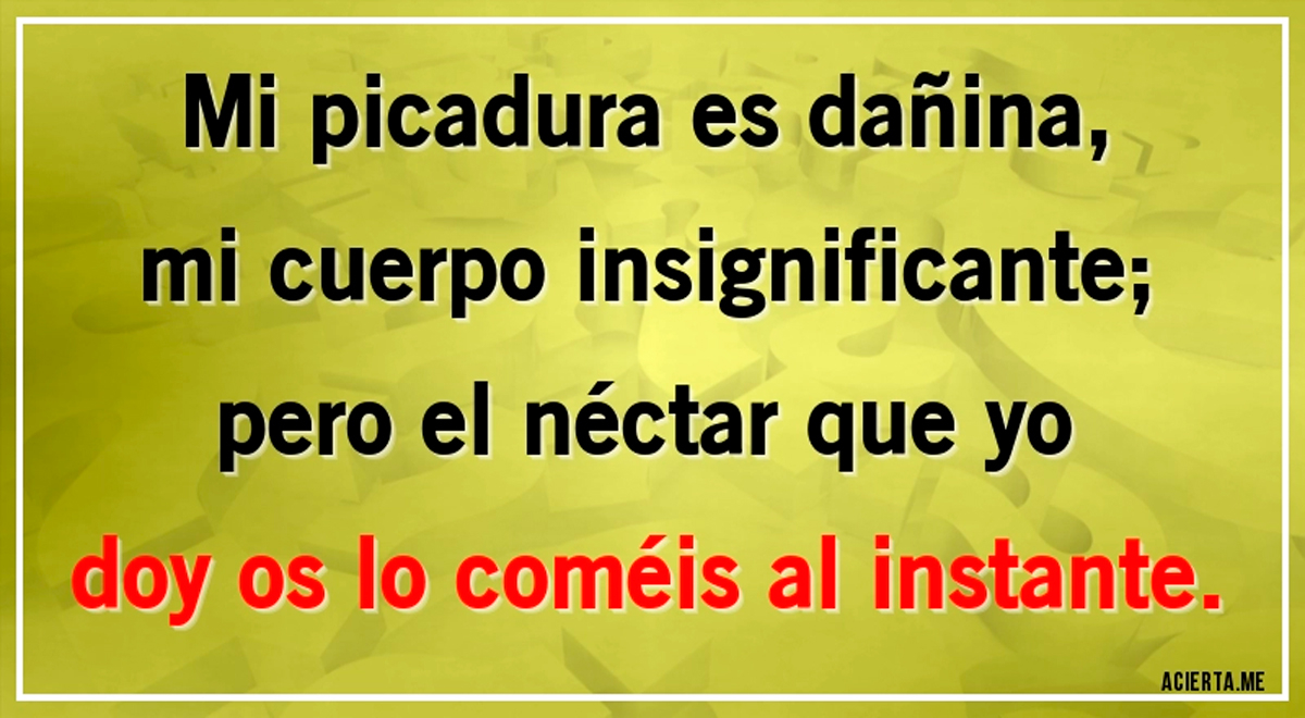 ¿Quién soy? Solo cuentas con 5 segundos para SUPERAR EXITOSAMENTE el acertijo