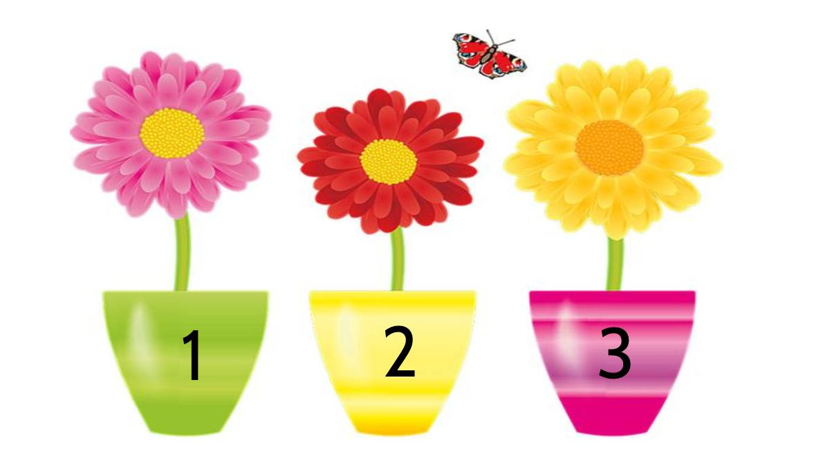 What do others think of you? Choose one of the test's flower and find out in no time.