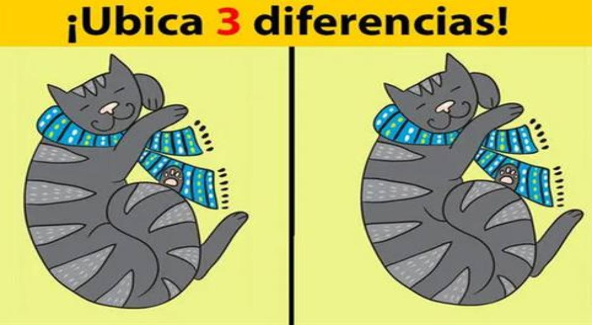 ¿Puedes ver las 3 diferencias entre los gatitos? El 99% de personas NO superó el reto