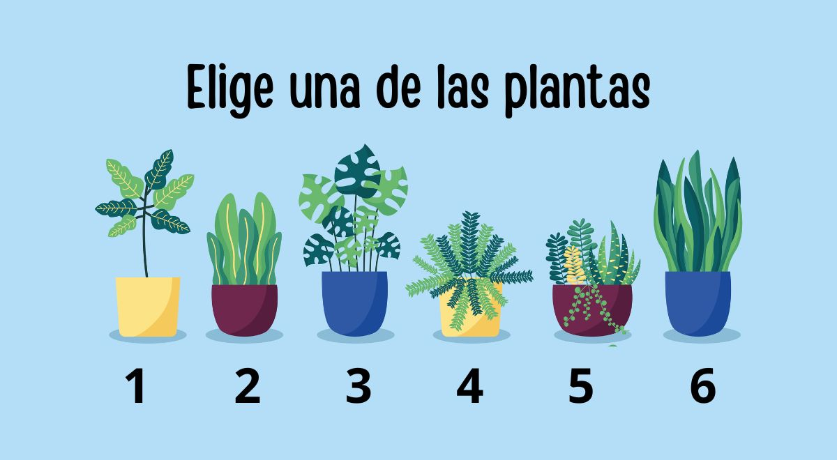 ¿En qué número de vida estás? Elige una planta y descubre tu misión en la tierra