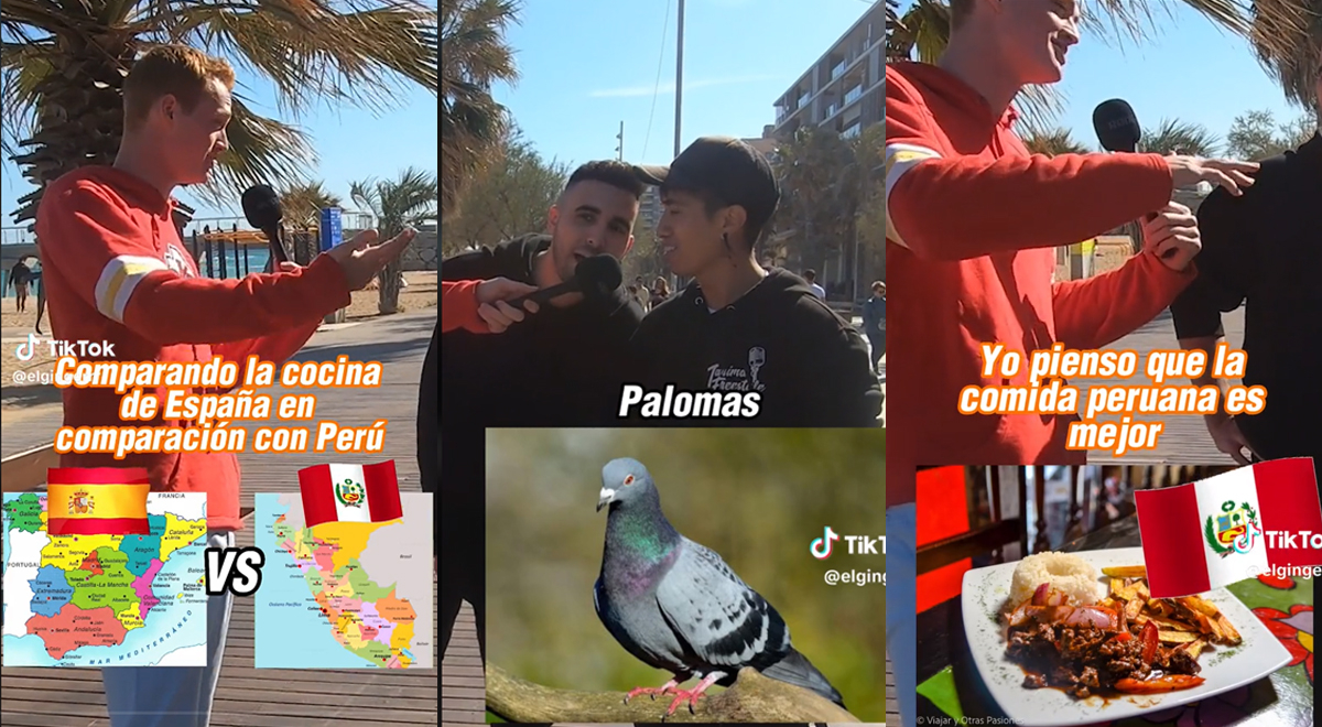 Spanish claims that Peruvians eat pigeons and a European trolls him in a viral video