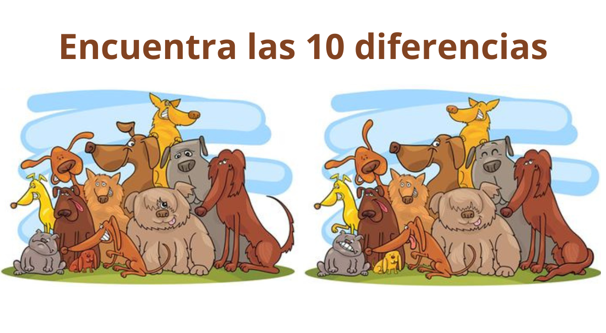 ¿Ves las 10 diferencias en los perritos? Debes tener una buena AGILIDAD VISUAL