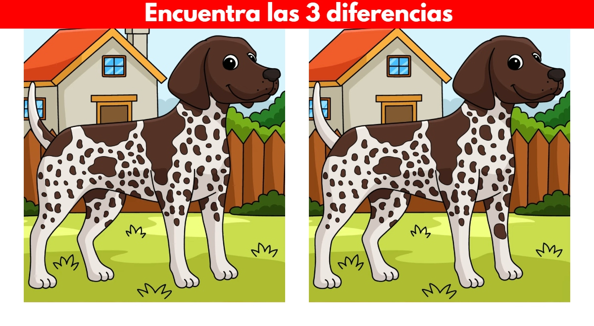 Can you see the 3 differences? 98% failed to solve this EXTREME challenge
