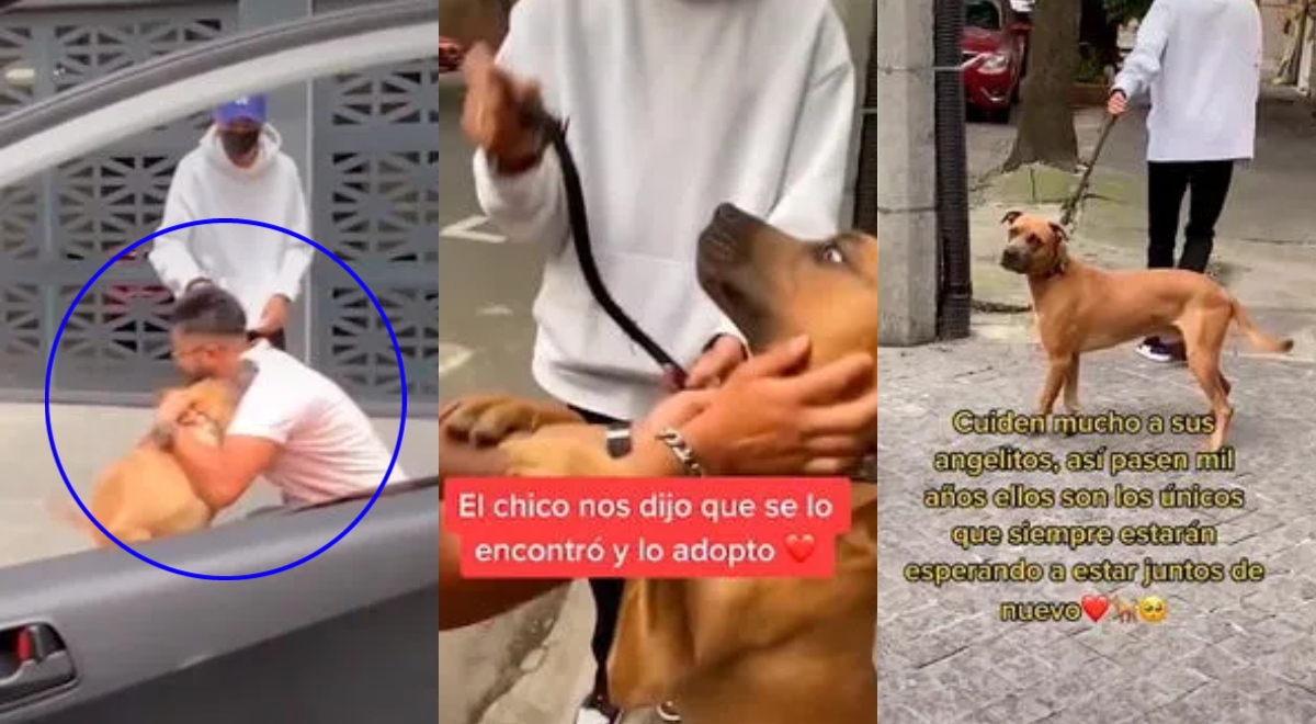 Joven encuentra a su mascota perdida hace 6 años, pero ya tiene otro hogar