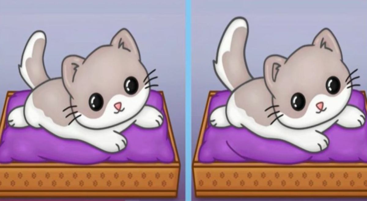 Si tienes una EXCELENTE VISIÓN ubicarás las 3 diferencias entre los gatitos del reto