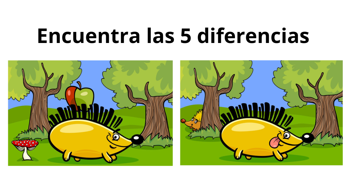 ¿Ves las 5 diferencias? Solo personas con un EXCELENTE VISIÓN han logrado encontrarlas