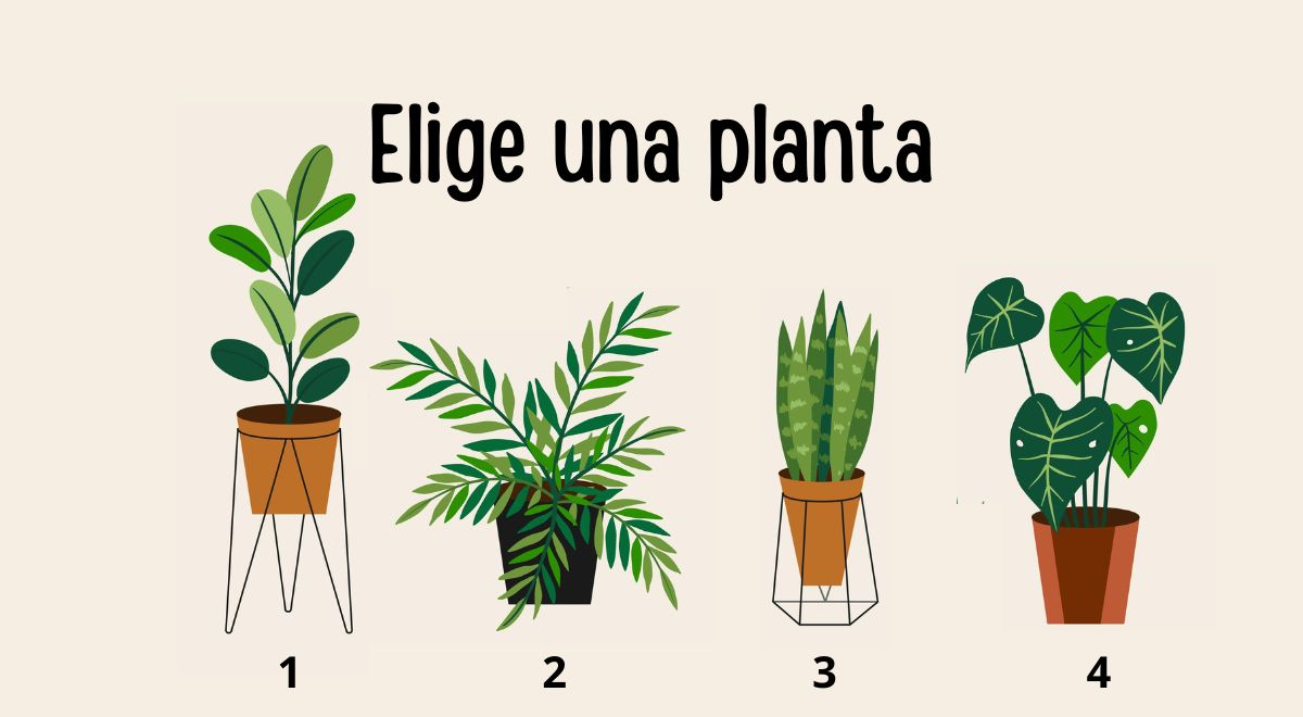 What is the reason for your existence? Choose one of the plants and be amazed.