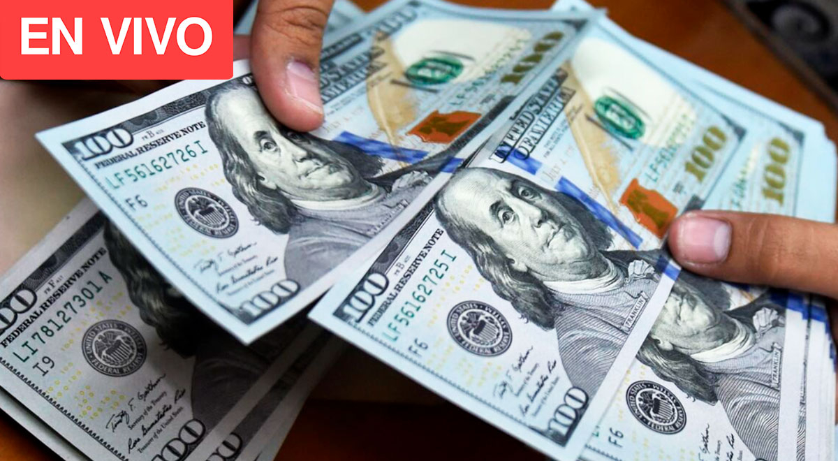 Dólar Blue hoy, sábado 29 de abril: cotización del dólar y precios