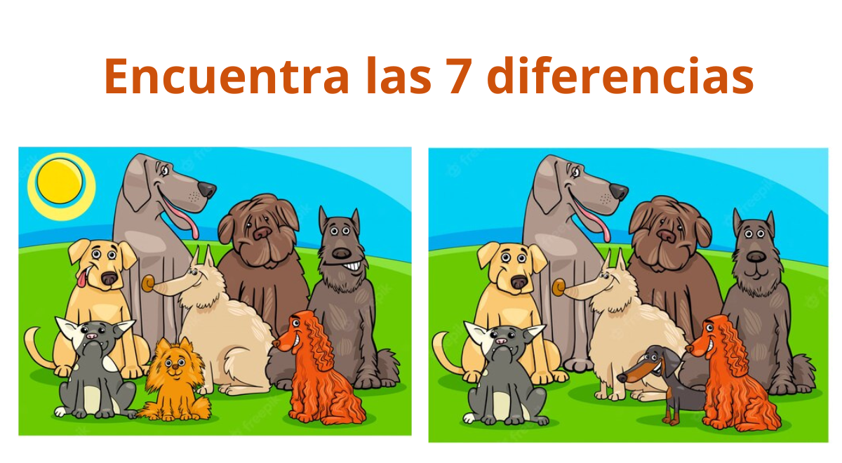 El 99% no pudo detectar las 7 diferencias de este RETO VISUAL EXTREMO de perritos