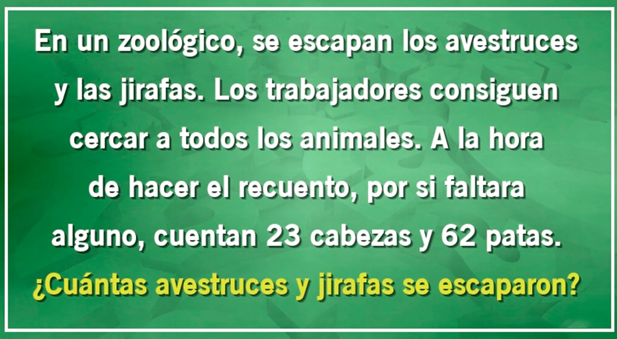 Si eres una MENTE MAESTRA resolverás el ACERTIJO EXTREMO: ¿Cuántos animales se escaparon?