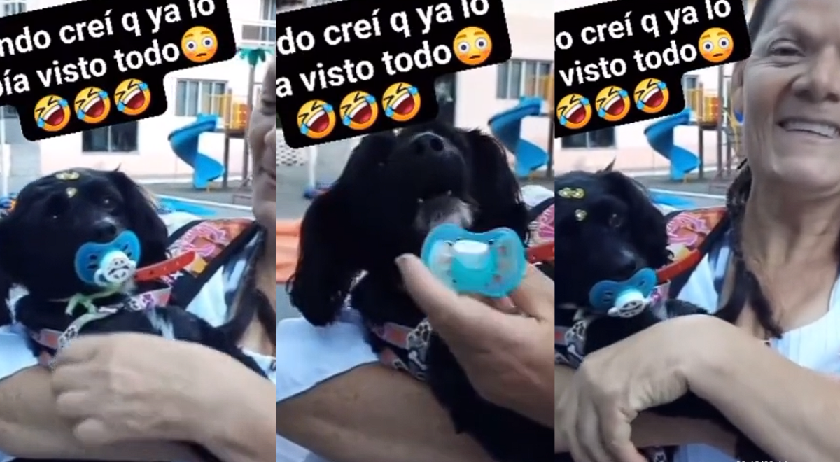 Perrito llora cuando su dueña le saca el chupón de la boca: 