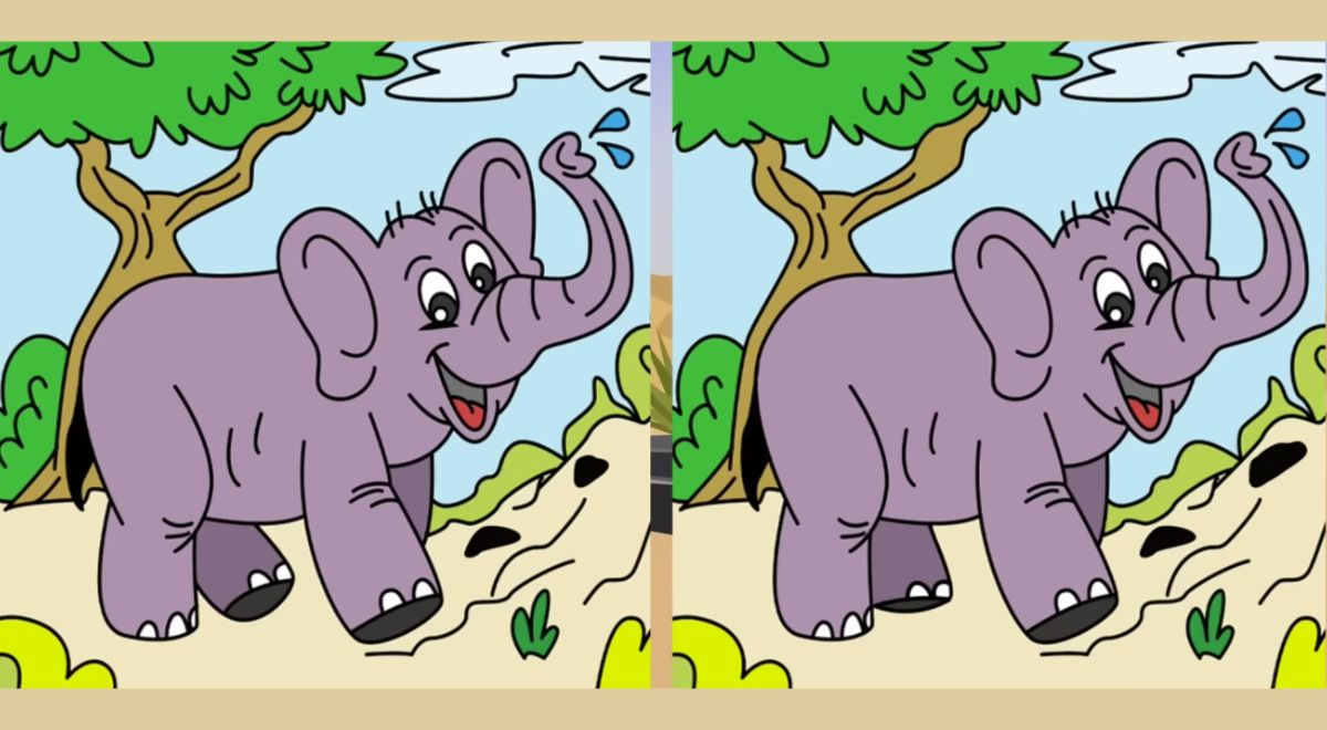 ¿Tienes una vista privilegiada? Encuentra las 3 diferencias entre los elefantes en 6 segundos